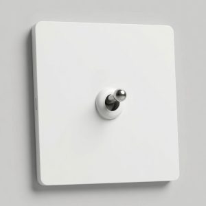 White with silver toggles light switch